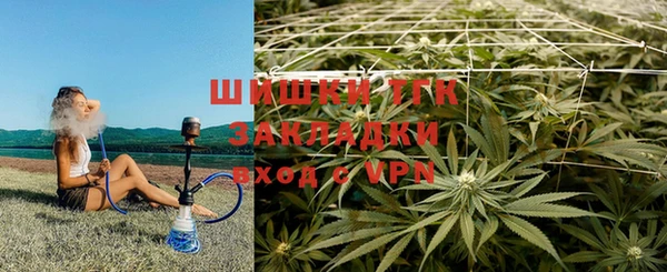 трава Вязьма