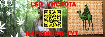 spice Краснознаменск