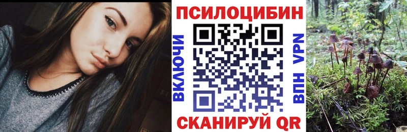 ссылка на мегу ССЫЛКА  Моршанск  Галлюциногенные грибы GOLDEN TEACHER 