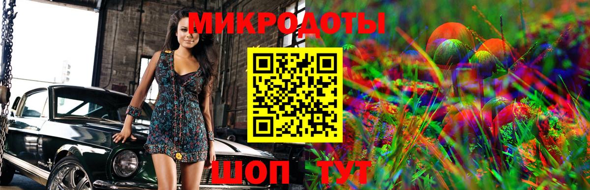 Галлюциногенные грибы ЛСД Моршанск