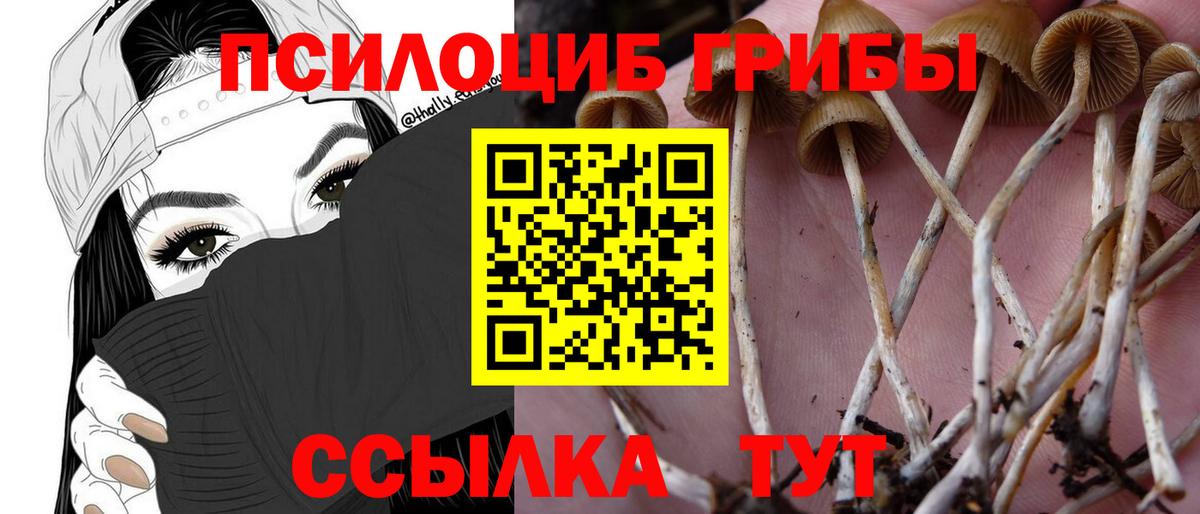 АМФ кристаллы  Гашиш  Гашиш  Моршанск  Меф   Метамфетамин  МАРИХУАНА  Где купить наркотики?  Экстази 